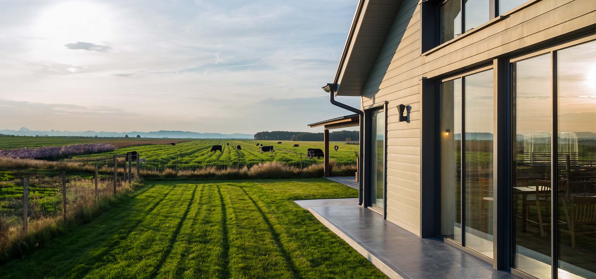 Move | The Future of Online Shopping