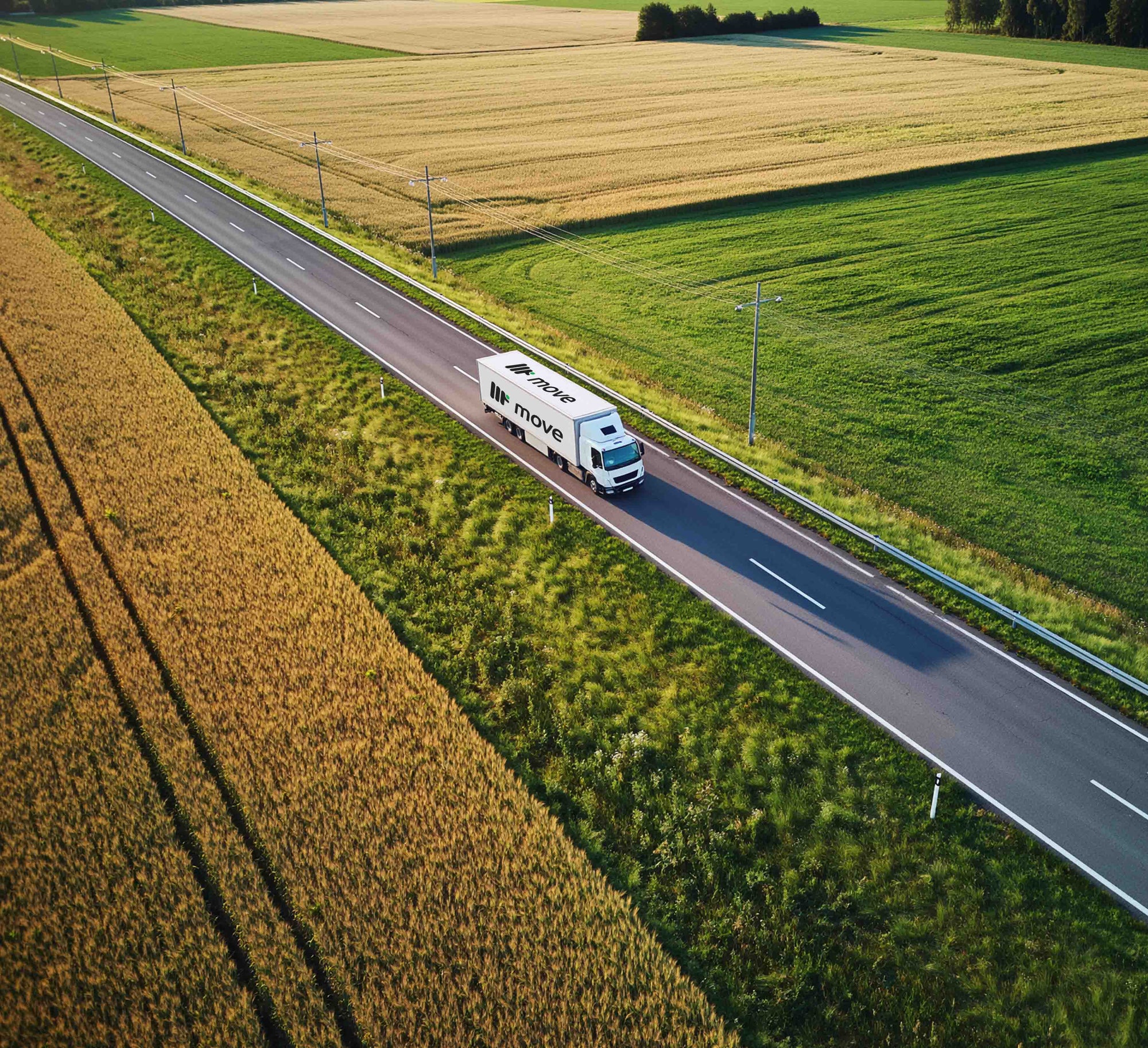 Move | The Future of Online Shopping