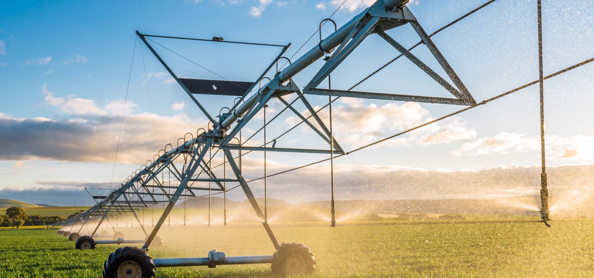 The future of online shopping starts here