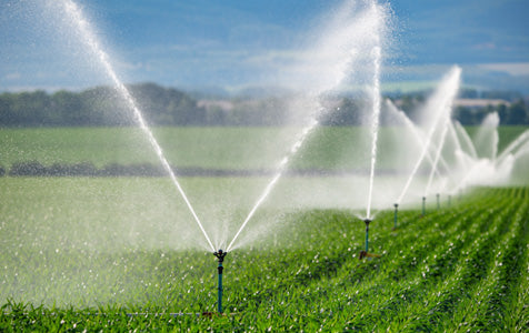 Irrigation