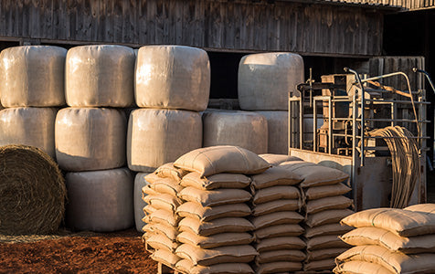 Wrapping & Packaging