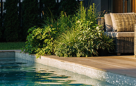 Garden, Pool & Patio