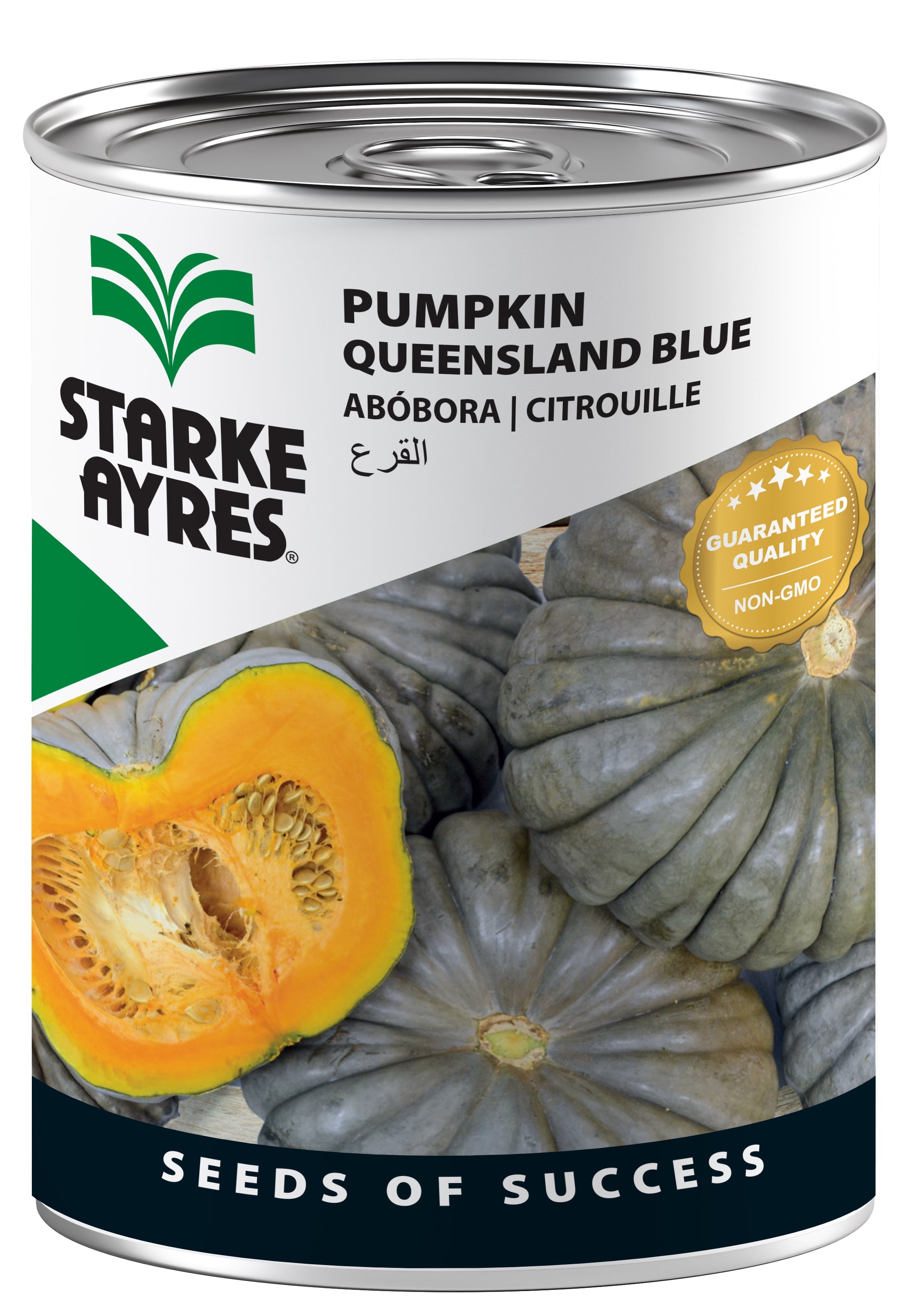 Starke Ayres Pumpkin Queensland Blue 100g