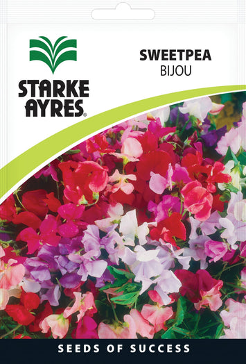 SEED FLOWER SWEETPEA STARK AYRES