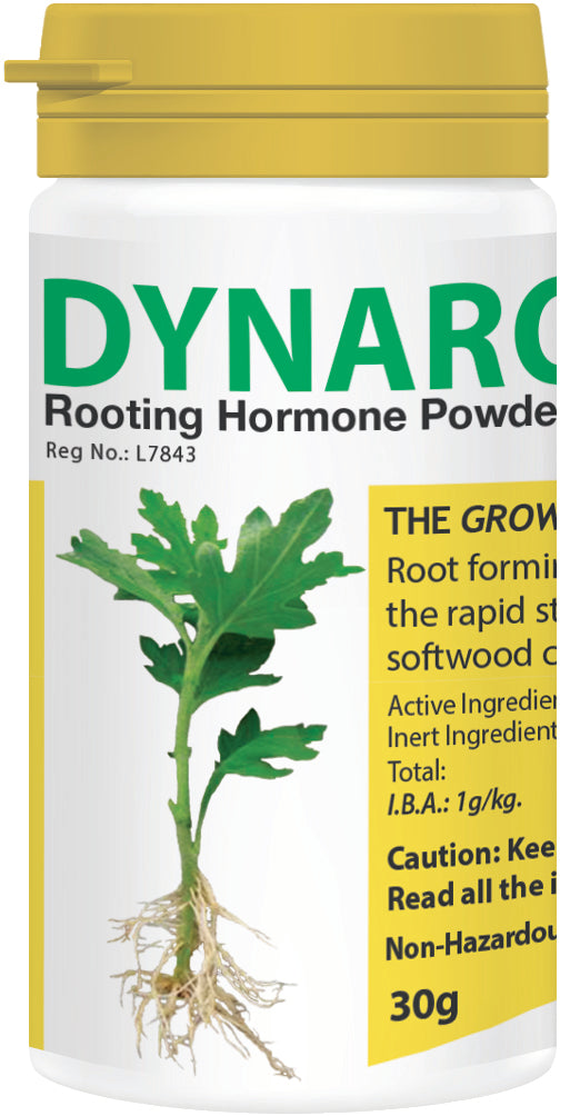 Starke Ayres Dynaroot No.1 30g