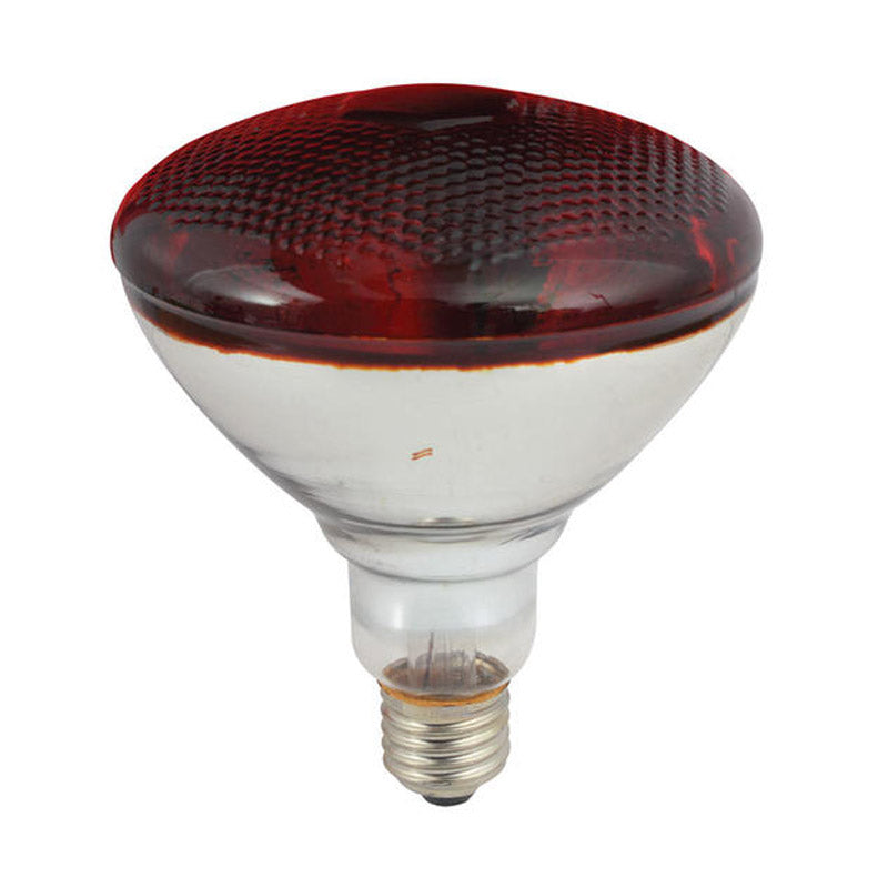 Antrovet Globe Infra Red 175W