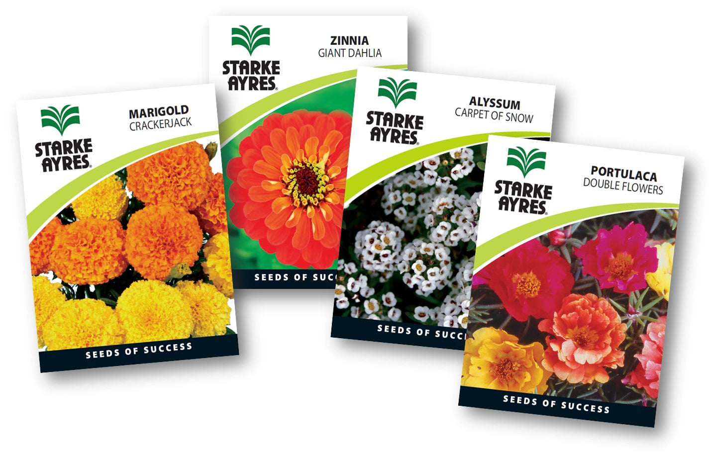 Stark Ayres Polypack Flower Garden