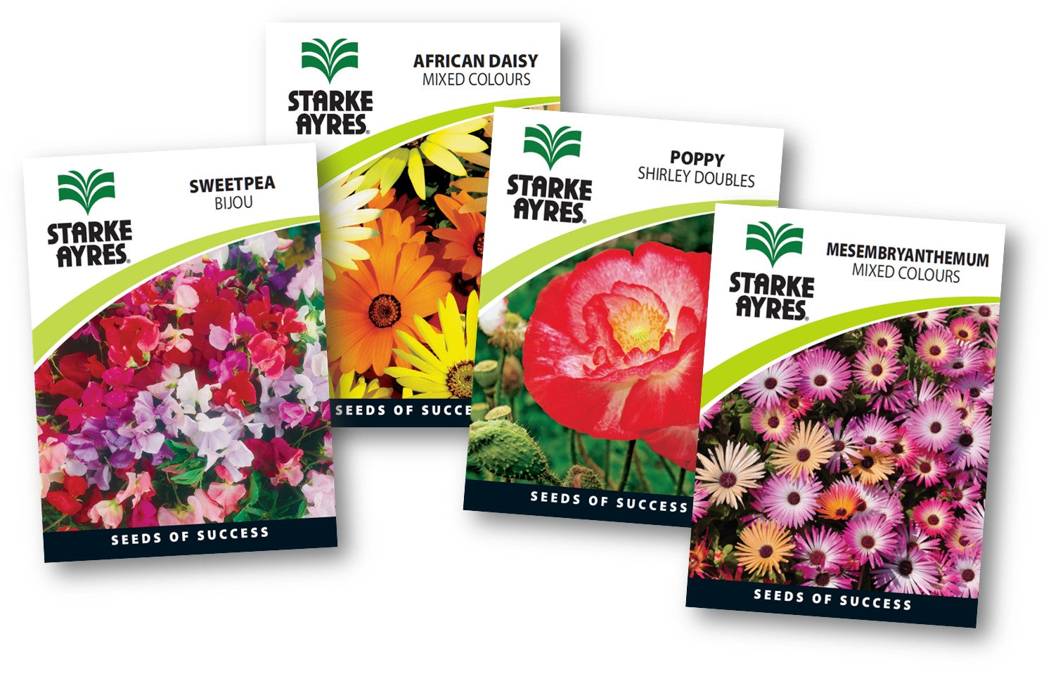 Stark Ayres Polypack Flower Winter
