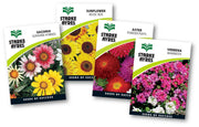 Stark Ayres Polypack Flower Summer