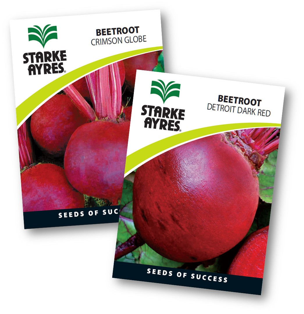 Starke Ayres Seed Veg Polypack Beetroot