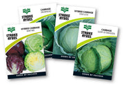Stark Ayres Seed Veg Polypack Cabbage
