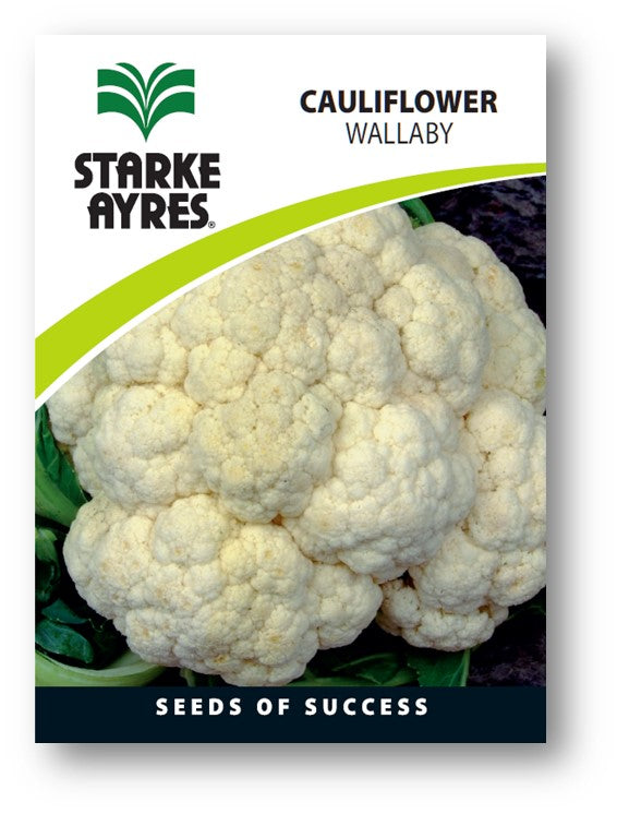 Starke Ayres Cauliflower Wallaby seeds packaging with a cauliflower image on a white background