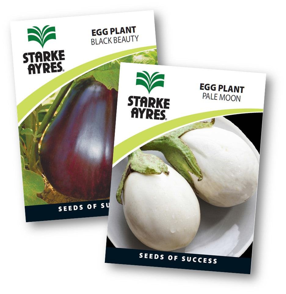 Two packages of Starke Ayres eggplant seeds, one for 'Black Beauty' and one for 'Pale Moon'.