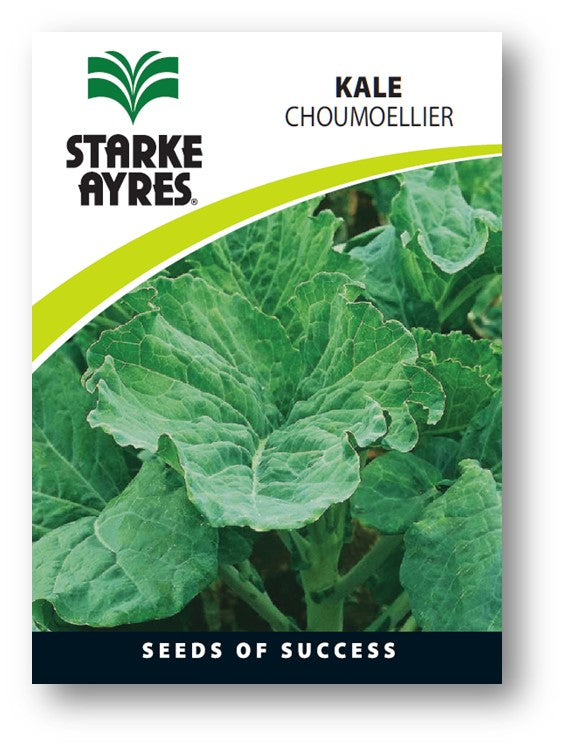 Stark Ayres Seed Veg Polypack Kale