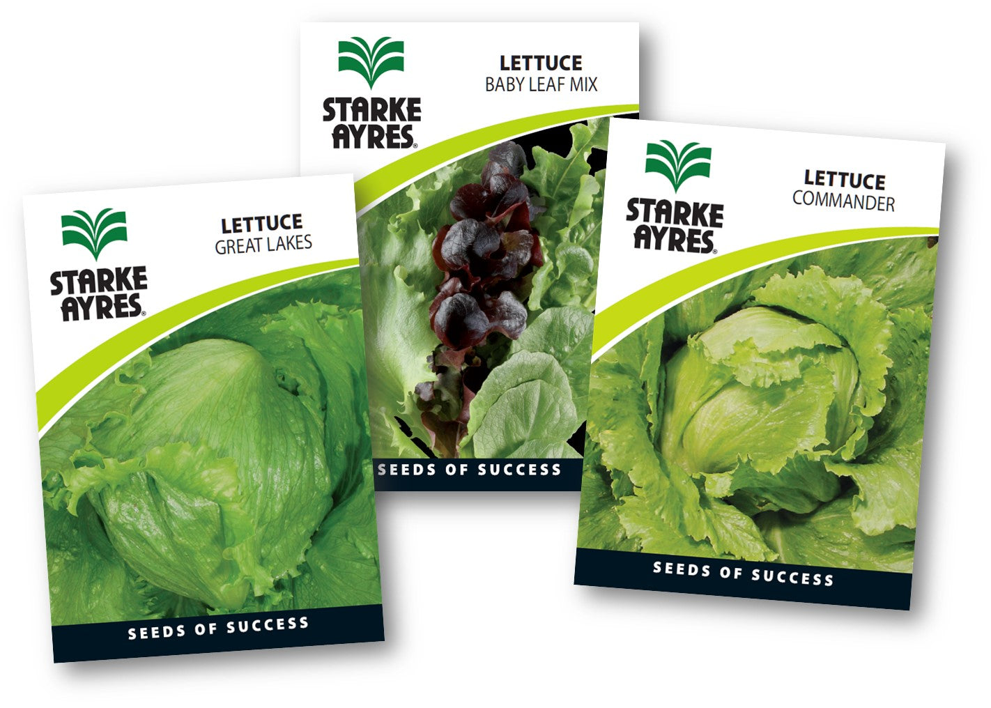 Stark Ayres Seed Veg Polypack Lettuce