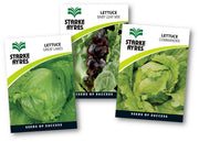 Stark Ayres Seed Veg Polypack Lettuce