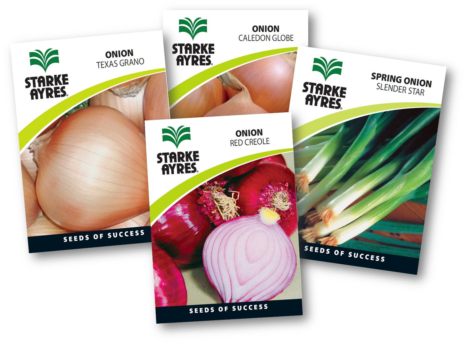 Four Starke Ayres onion seed packets with images of onions on a white background
