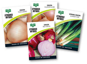 Four Starke Ayres onion seed packets with images of onions on a white background