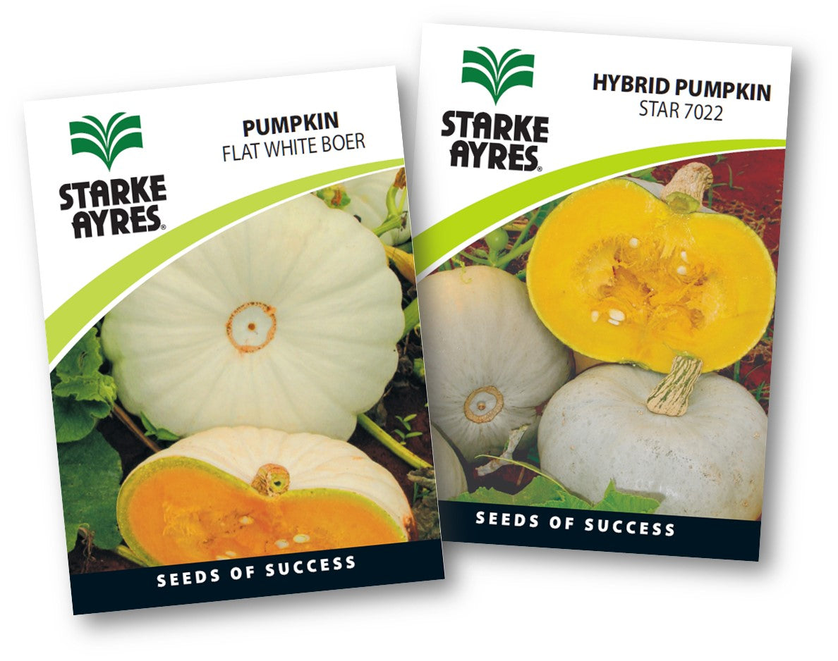 Two Starke Ayres pumpkin seed packets on a white background