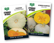 Two Starke Ayres pumpkin seed packets on a white background