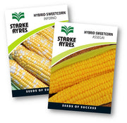 Two packages of Starke Ayres hybrid sweetcorn seeds on a white background