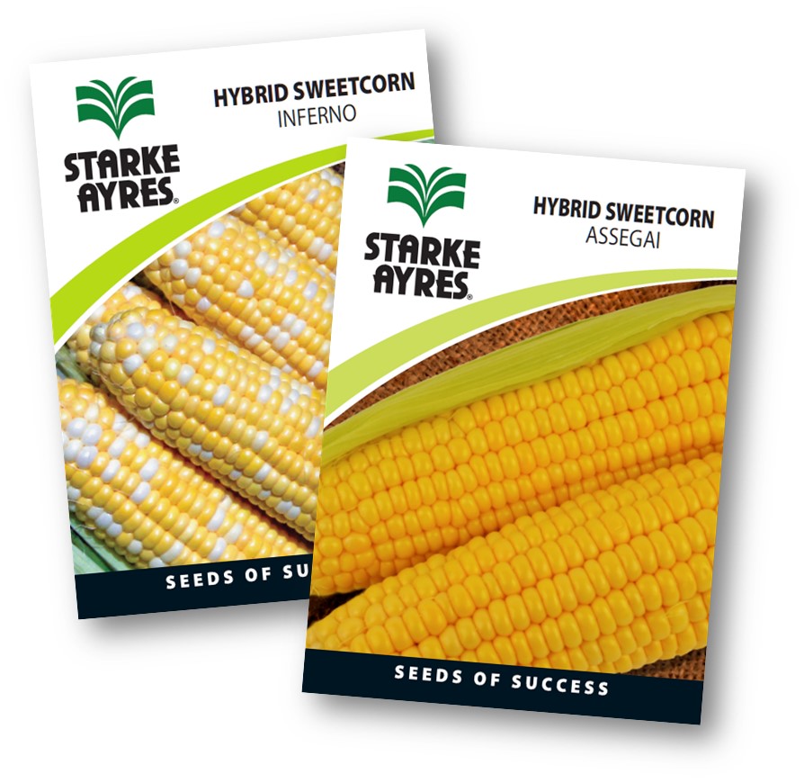 Two packages of Starke Ayres hybrid sweetcorn seeds on a white background