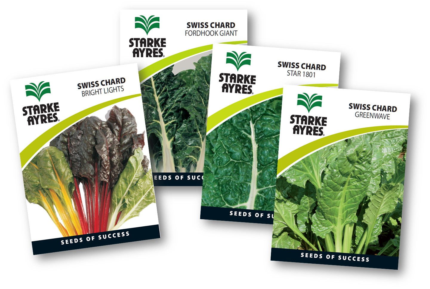 Four packages of Starke Ayres Swiss Chard seeds on a white background