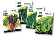 Four packages of Starke Ayres Swiss Chard seeds on a white background