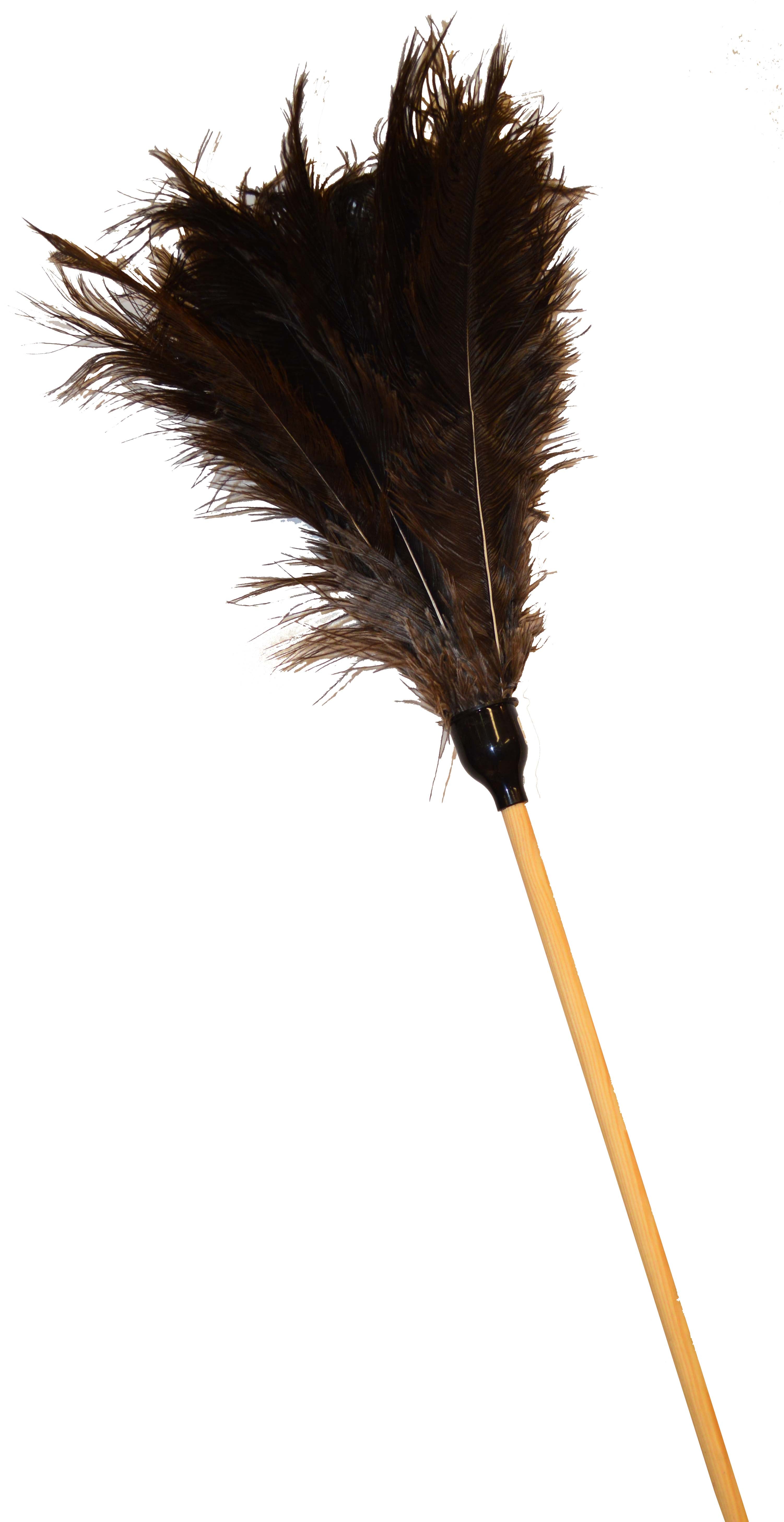 ACADEMY FEATHER DUSTER 1.8M LARGE HEAD