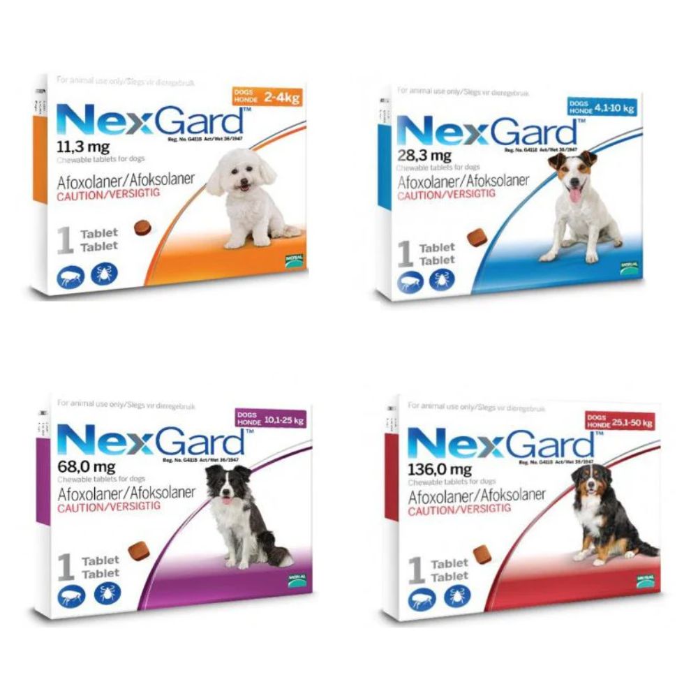 Frontline Nexgard 4.1 - 10kg Boehringer