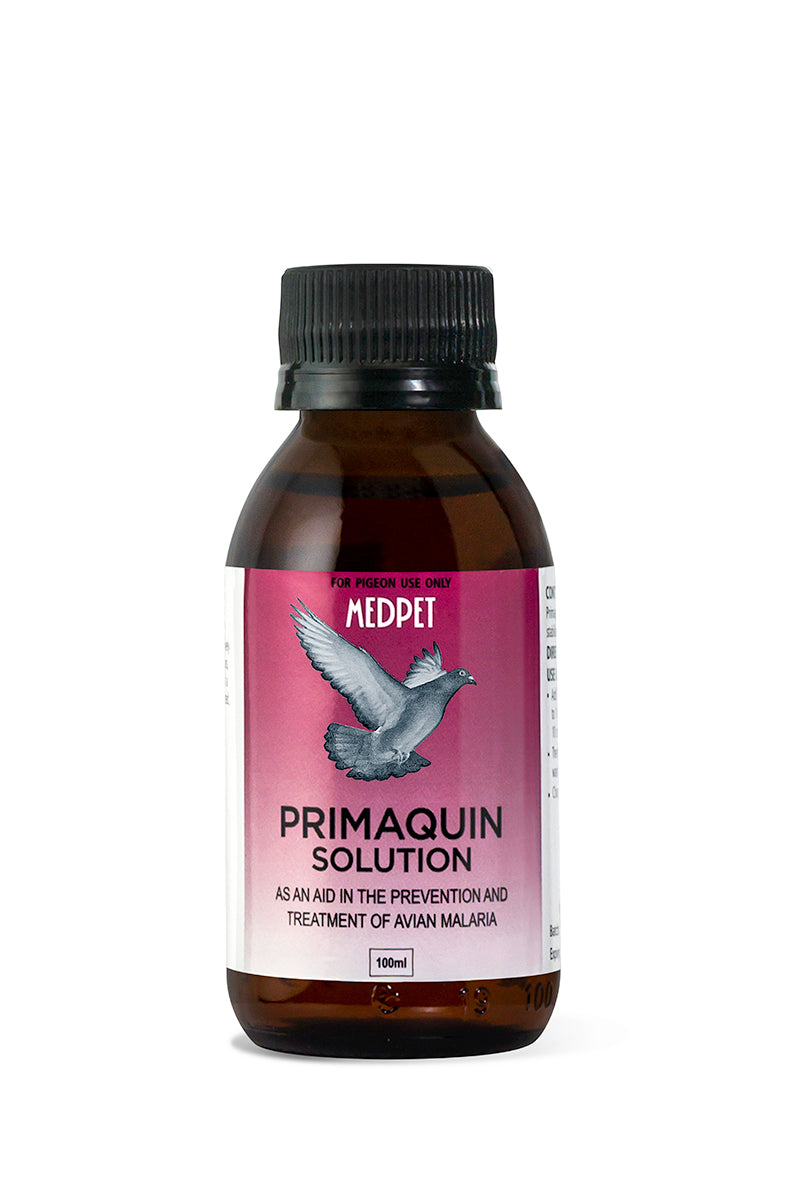 Antrovet Primaquin Solution 100ml Medpet