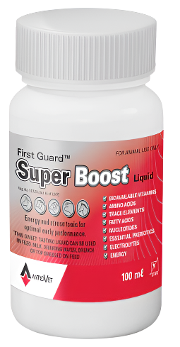 Antrovet VIT Super Boost 100ml