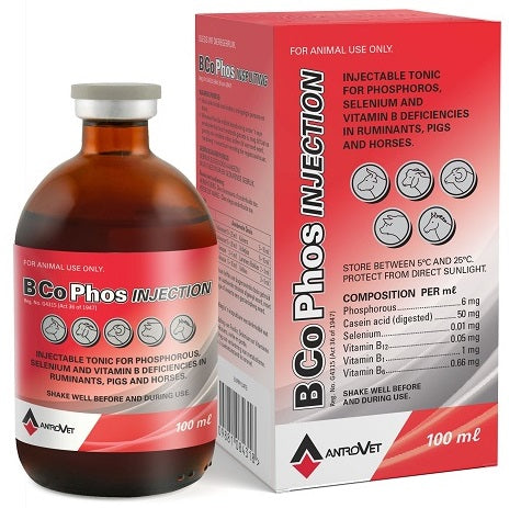 Antrovet VIT B Cophos 100ml