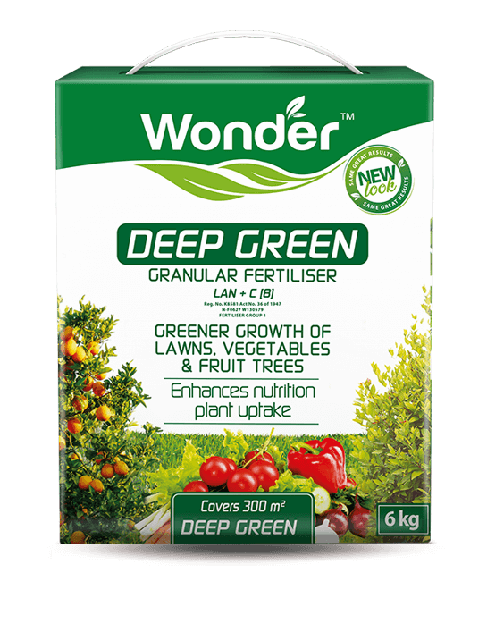 WONDER DEEP GREEN 6KG
