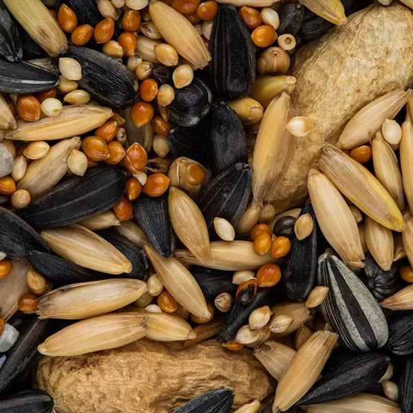Drakensberg Seed Cockatiel 2kg