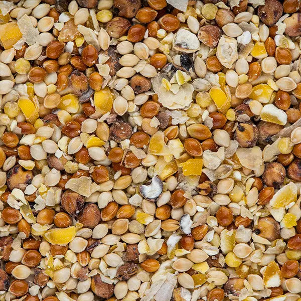 Drakensberg Seed Wild Bird 5kg
