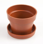 Renov Pot Round & Saucer 4cm