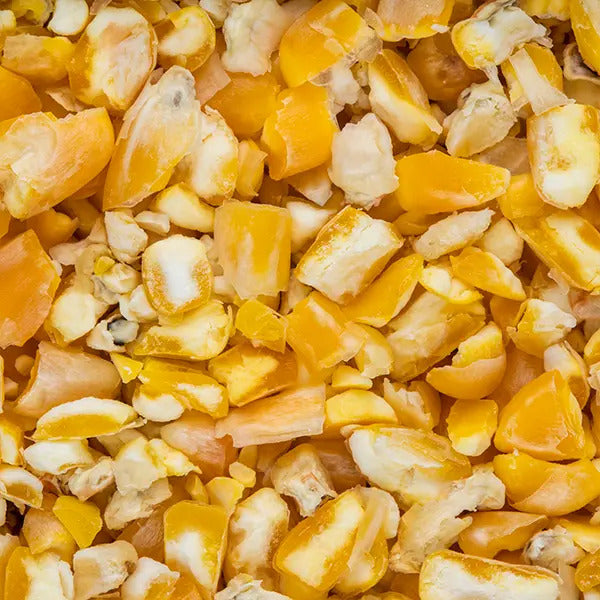 Seed Yellow Maize Crush 2kg
