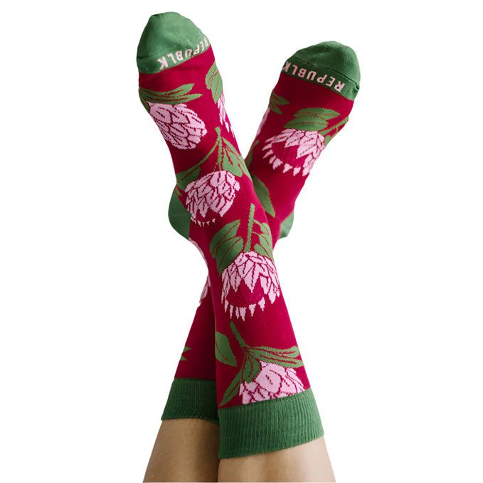 Republk Sock Protea