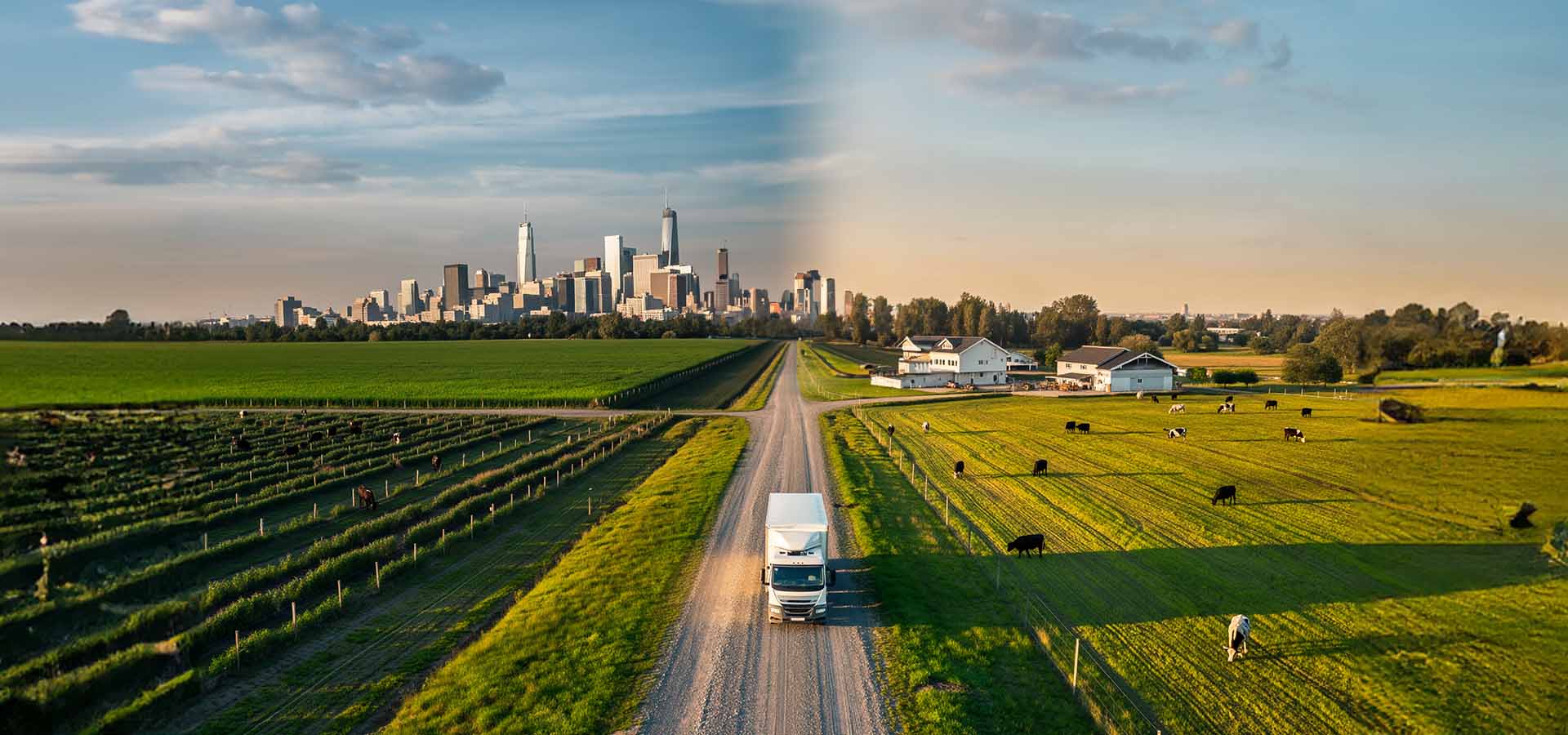 Move | The Future of Online Shopping