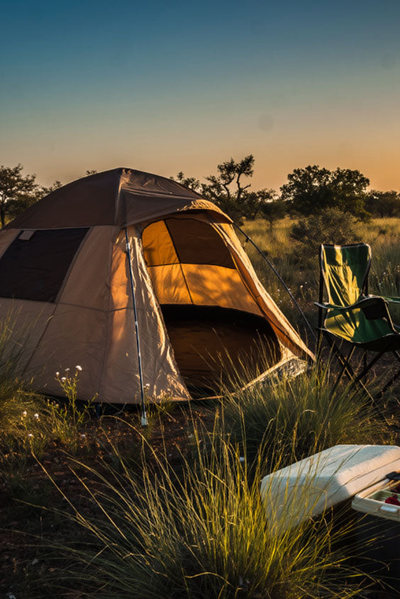 Move | The Future of Online Shopping