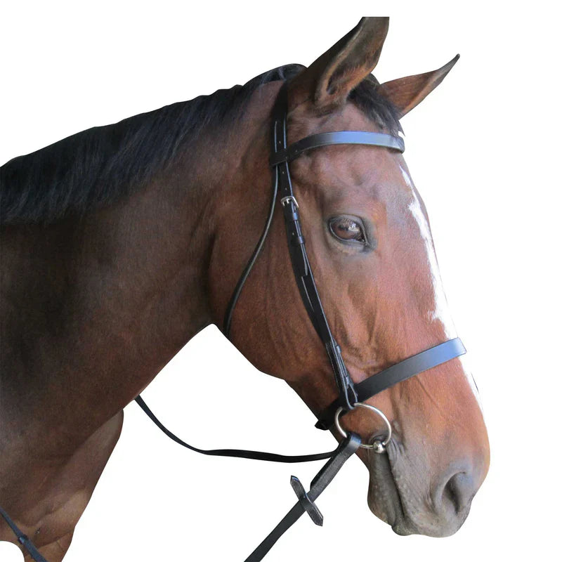 Solo Bridle Caveson