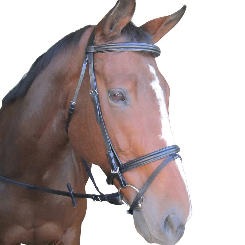 Solo Bridle Raised/padded Blk