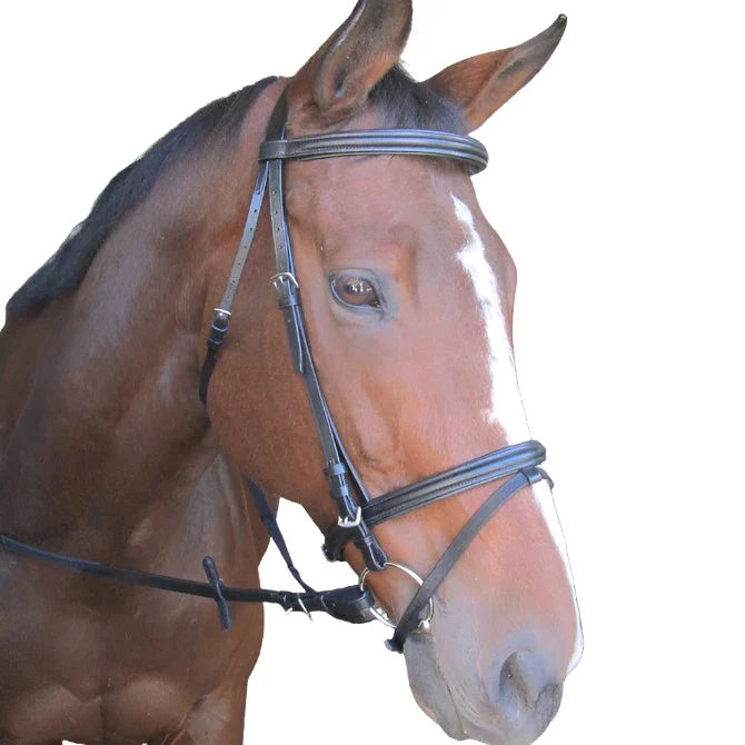 Solo Bridle Raised/padded Brw