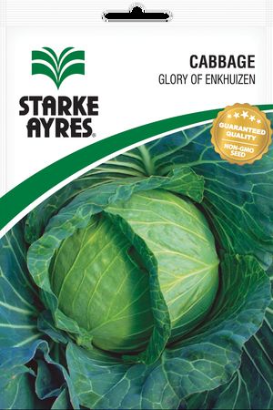 Starke Ayres Cabbage Glory 100g