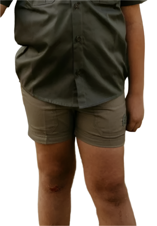 Bosbul Kids Cotton Shorts Green 5-6