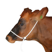 Solo Halter Shipping Rope