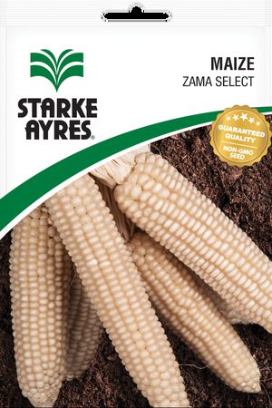 Starke Ayres Seed Veg Polypack Zama Select Stark a