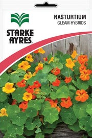 Starke Ayres Seed Flower Nasturtium