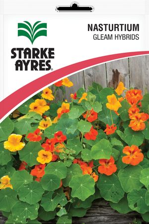 Starke Ayres Seed Flower Nasturtium